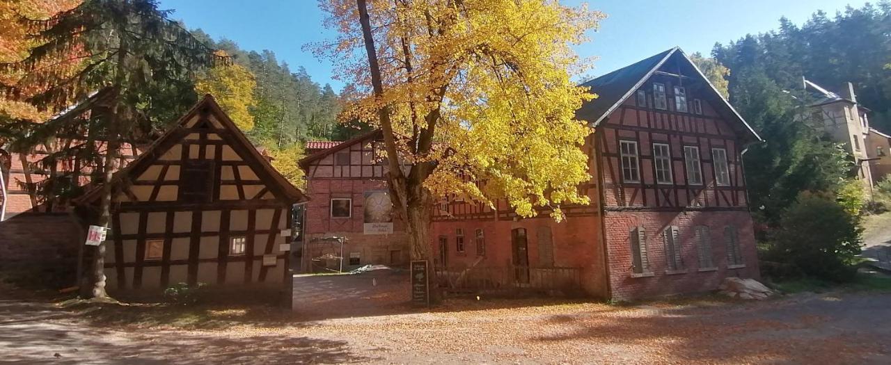 Naturhof-Papiermuehle 2 Bett-Zimmer Rosenrot Bollberg Esterno foto